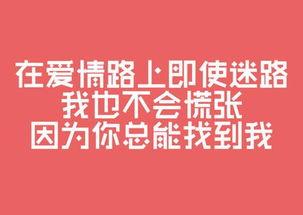 娱乐吃瓜文案图片带字,吃瓜群众视角下的明星幕后故事
